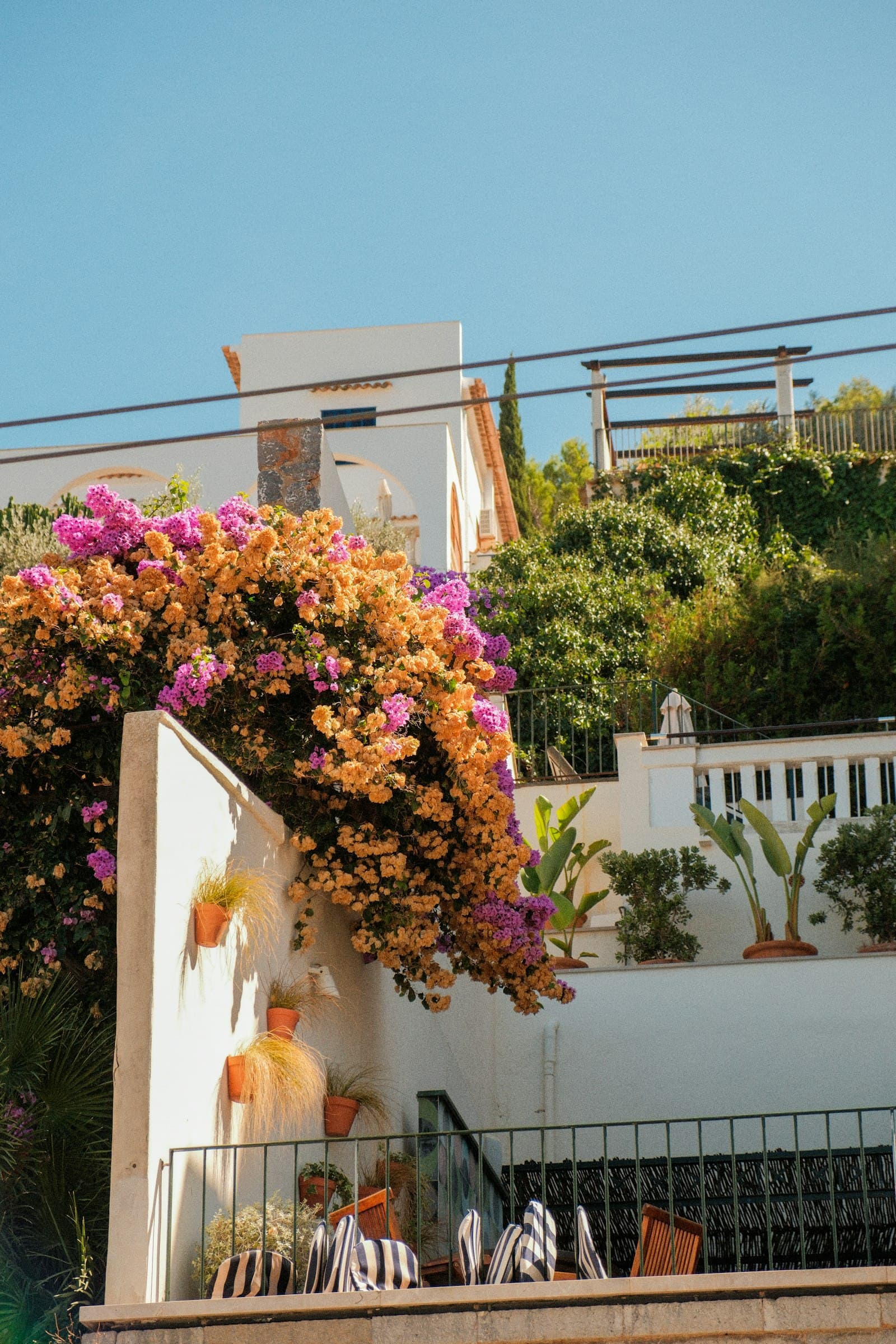 A terraced Mediterranean garden